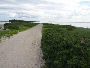 Halshuisene + Enebaerodde Beach (Denemarken)